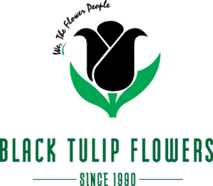 Black Tulip Flowers